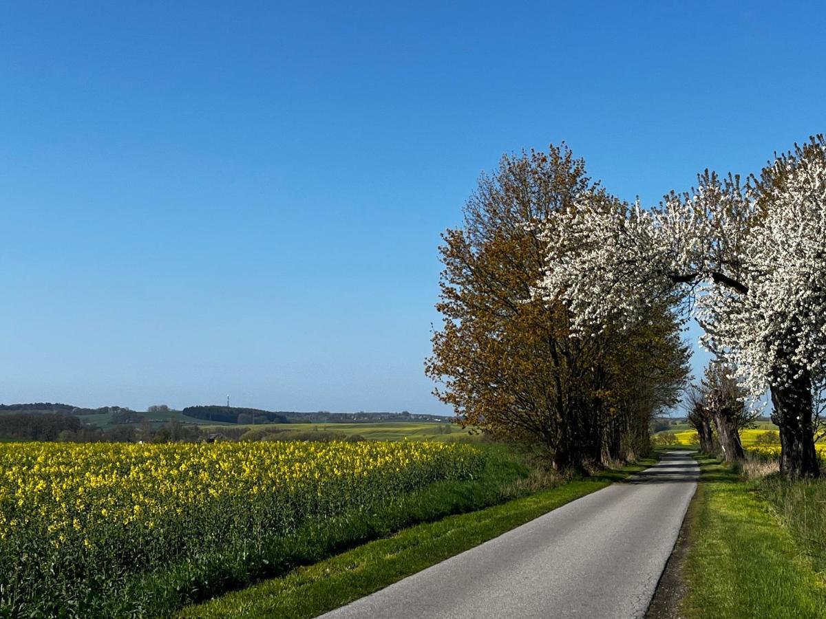 Gut Manderow An Der Ostsee Hohenkirchen  Kültér fotó