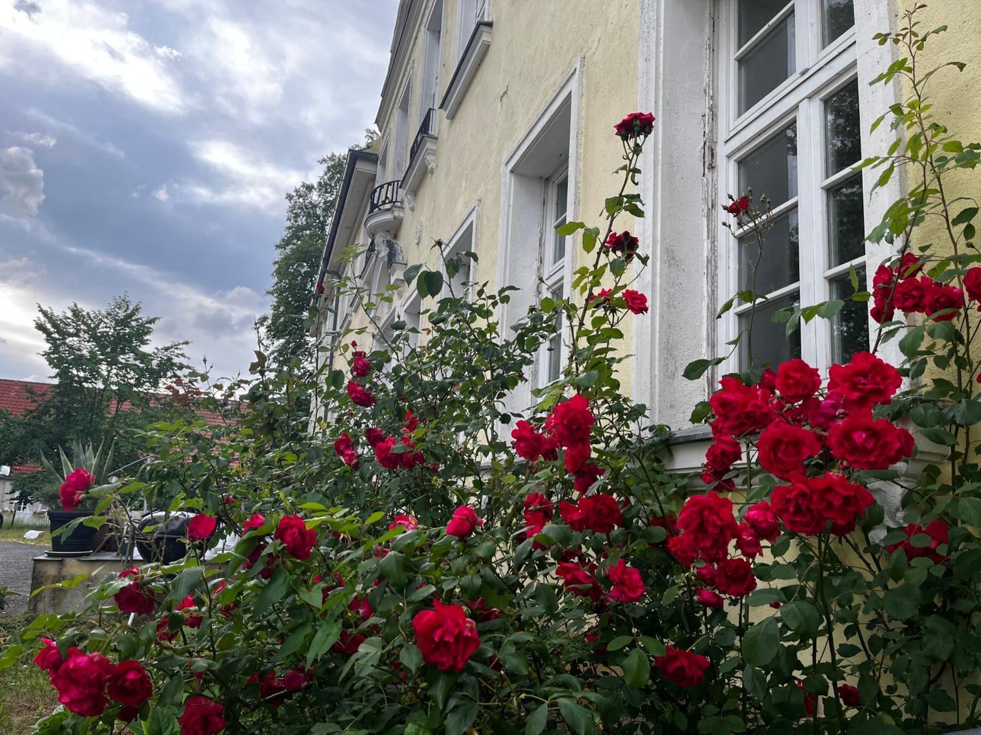 Gut Manderow An Der Ostsee Hohenkirchen  Kültér fotó